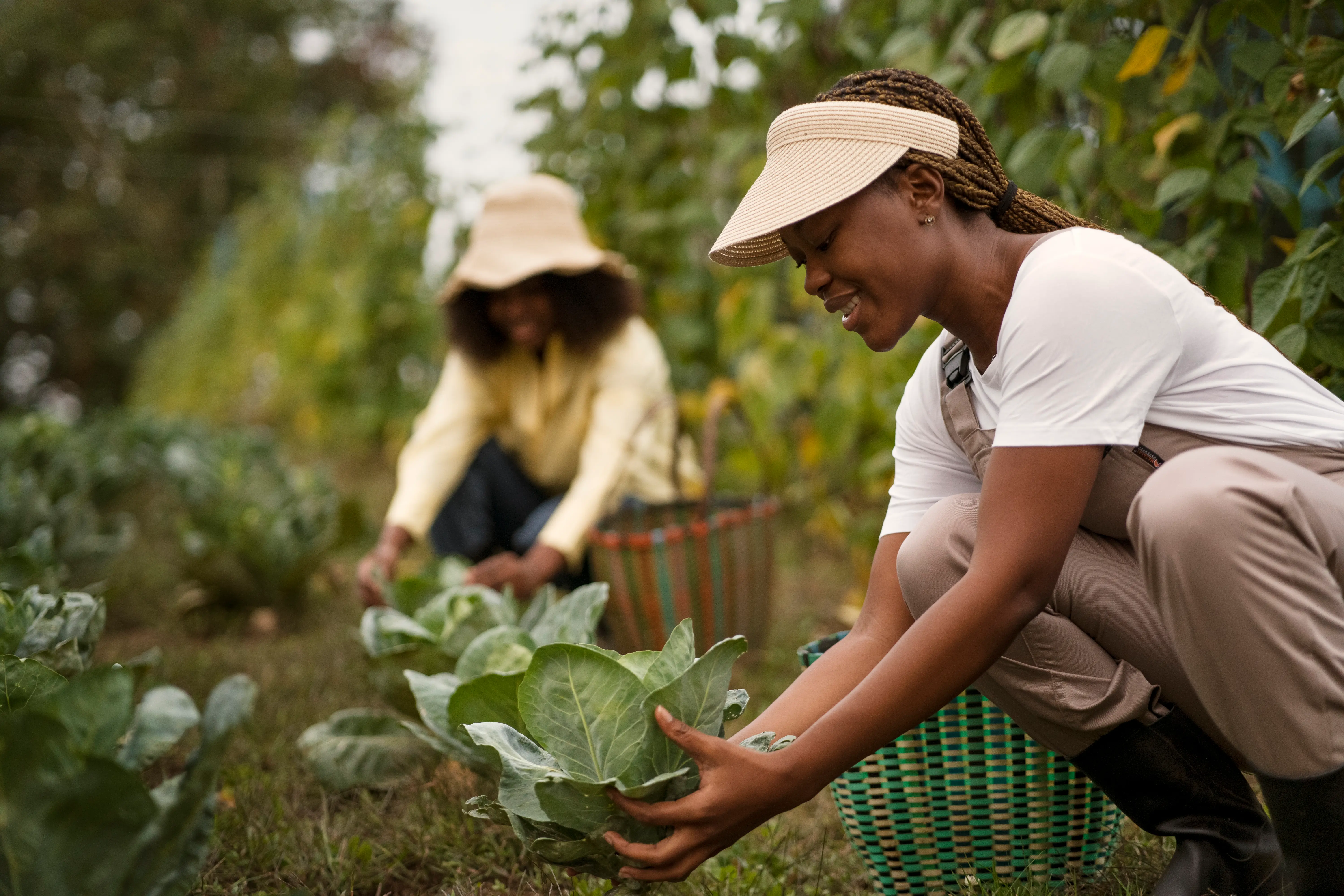 Agriculture